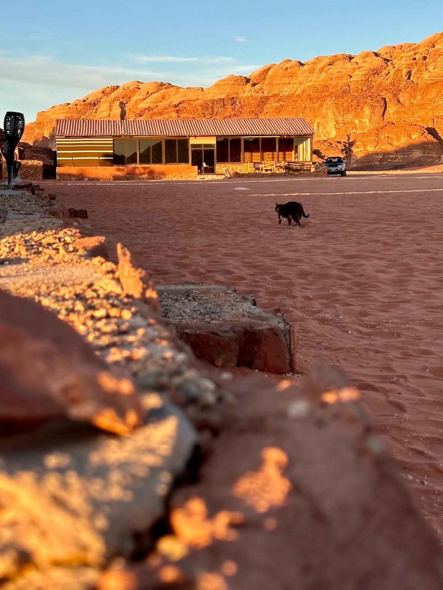 Salameh'S Bedouin Camp Hotel Вади Рум Екстериор снимка